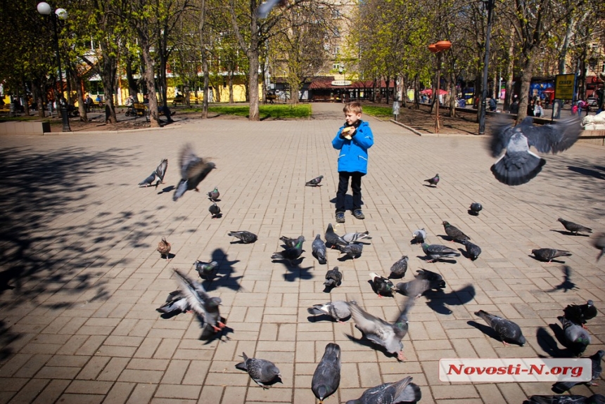 Весенний калейдоскоп в Николаеве. ФОТО