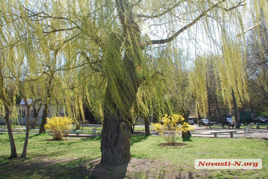 Весенний калейдоскоп в Николаеве. ФОТО