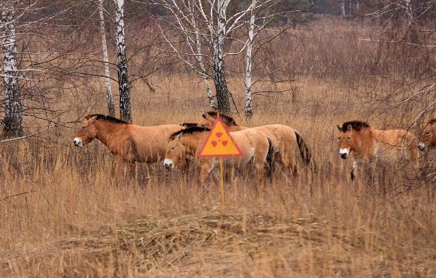 Фото иллюстрационное