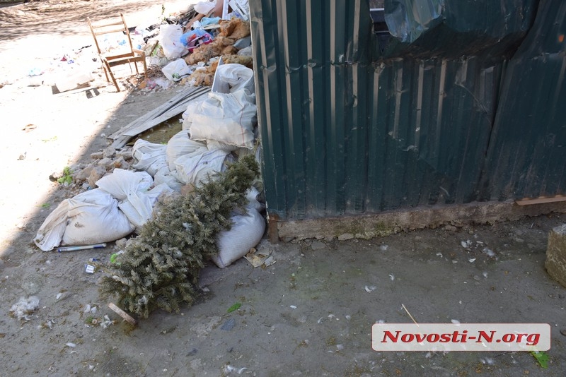 Праздник 1 Мая наступил: николаевцы выбрасывают новогодние елки. ФОТО
