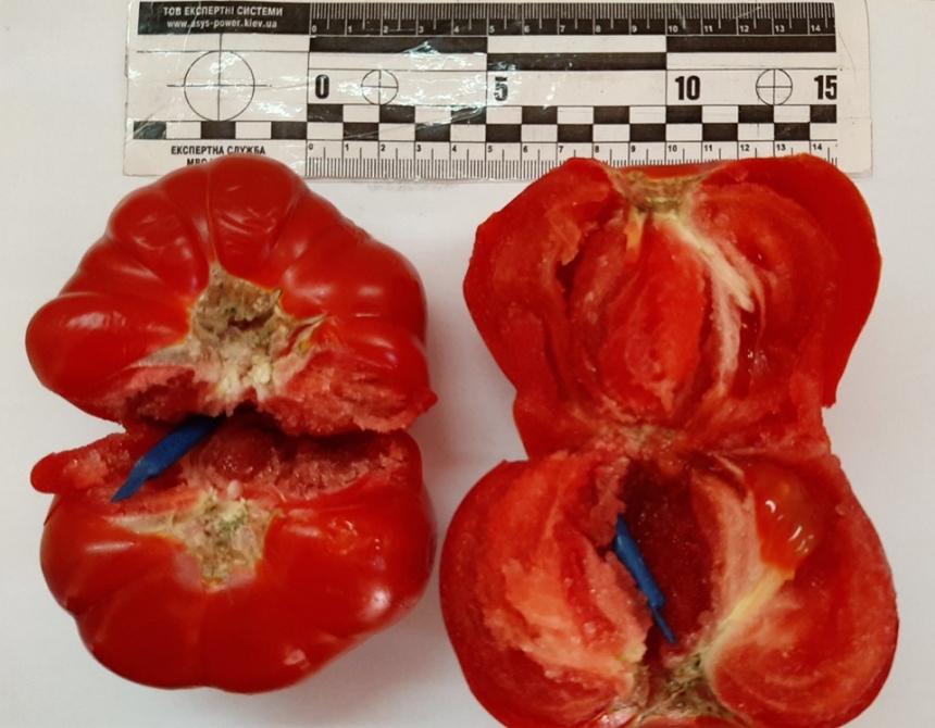 Заключенному Николаевского СИЗО пытались пронести наркотики в свежих помидорах