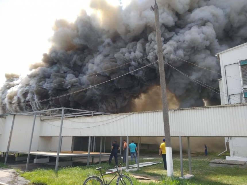 В огне пожара на птицефабрике в Василькове заживо сгорели 200 тысяч птиц. Видео