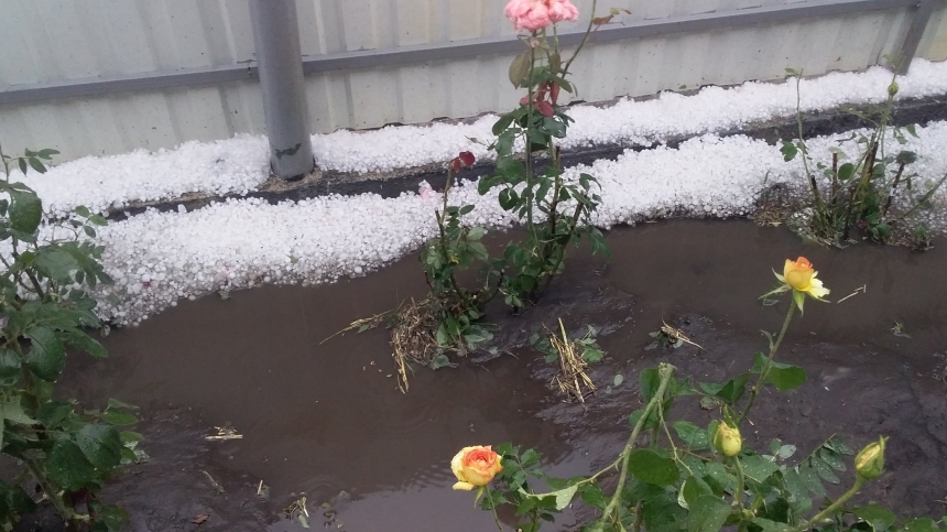 «Сорок минут Армагеддона»: в Николаевской области град уничтожил будущий урожай. ФОТО