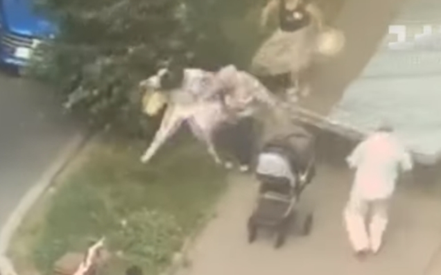 В Харькове на маму с коляской рухнул металлический забор. ВИДЕО