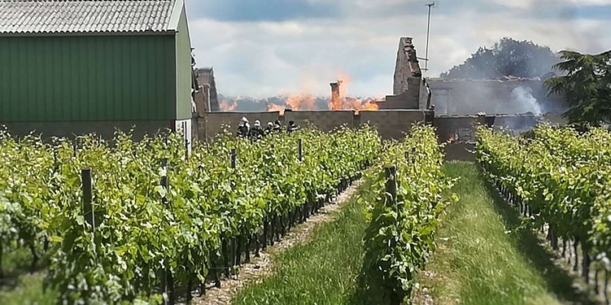 Более 250 000 литров коньяка сгорело при пожаре во Франции
