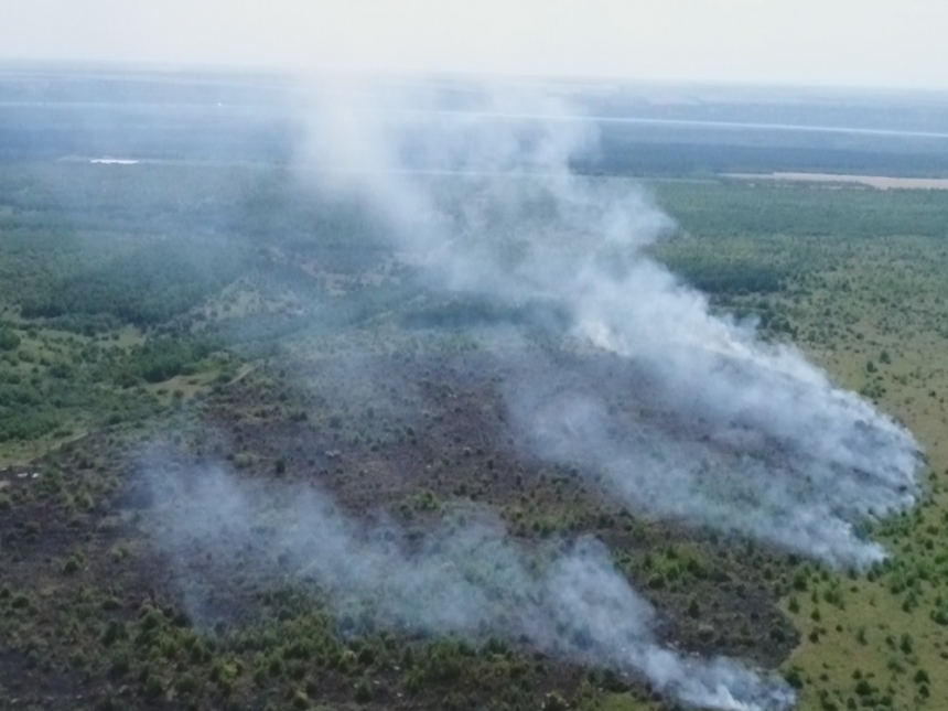 За прошедшие сутки на Николаевщине выгорело более 7 га открытых территорий 