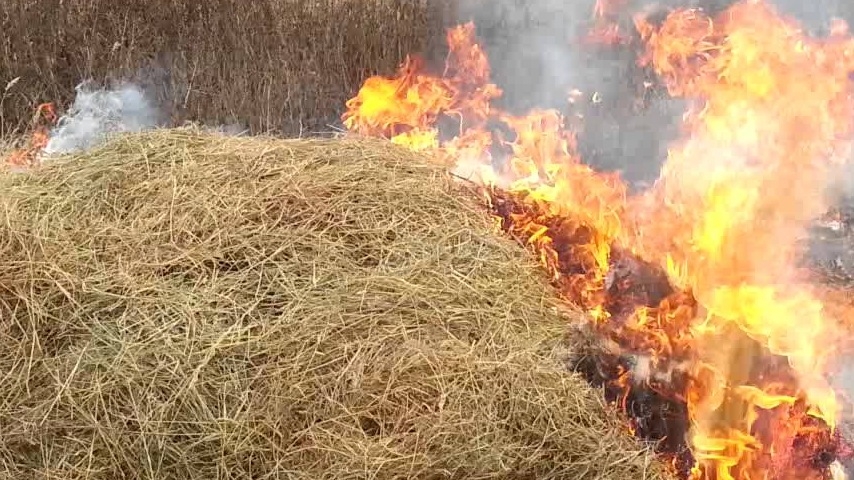 На Николаевщине дети играли со спичками и сожгли 2 тонны сена