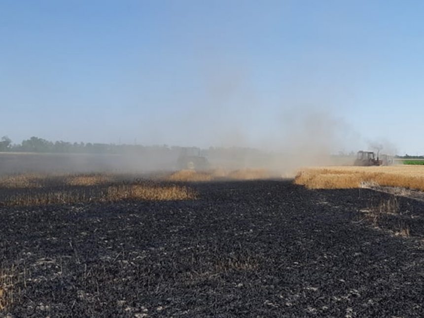 ÐÐ° ÐÐ¸ÐºÐ¾Ð»Ð°ÐµÐ²ÑÐ¸Ð½Ðµ Ð³Ð¾ÑÐµÐ»Ð¾ Ð¿Ð¾Ð»Ðµ Ñ Ð·ÐµÑÐ½Ð¾Ð²ÑÐ¼Ð¸ ÐºÑÐ»ÑÑÑÑÐ°Ð¼Ð¸