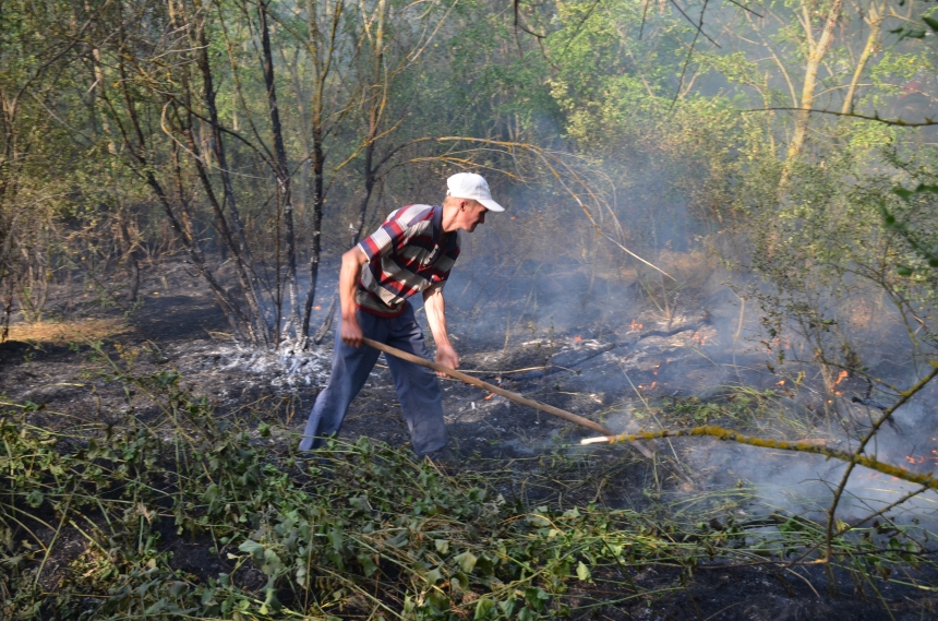 На Николаевщине масштабно горел лес: причиной стал поджог. ВИДЕО