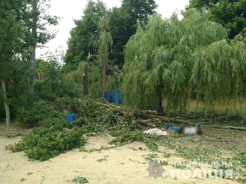 На базе отдыха женщину убило упавшее дерево