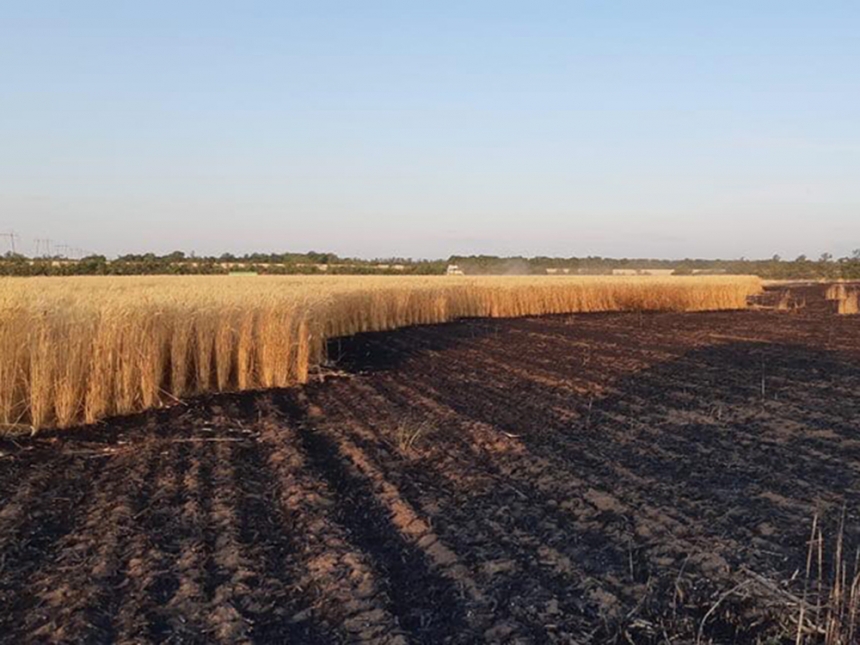На Николаевщине горели поля с пшеницей