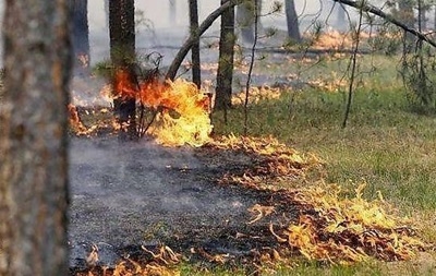 В Украине спасатели предупредили о высокой пожарной опасности