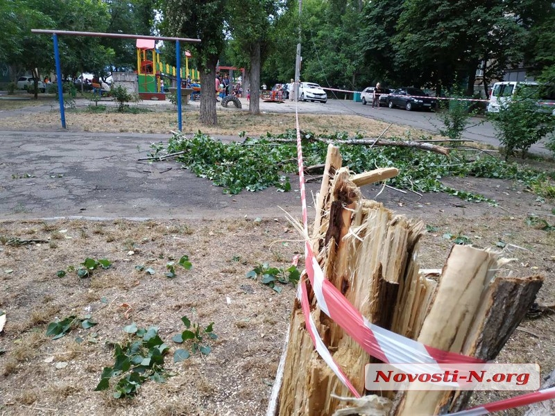 В центре Николаева упавший тополь раздавил автомобиль