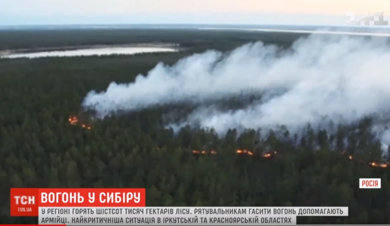 В Сибири горят 600 тысяч гектаров леса: объявлено чрезвычайное положение