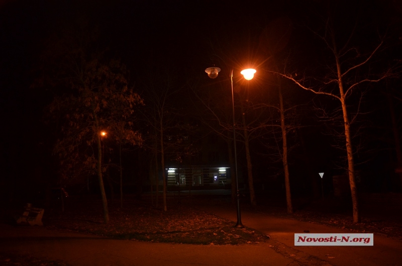 В селе под Николаевом деревья погасили фонари 