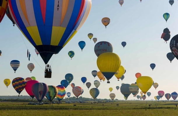 Пчела - оса из воздушных шаров/Bee balloon