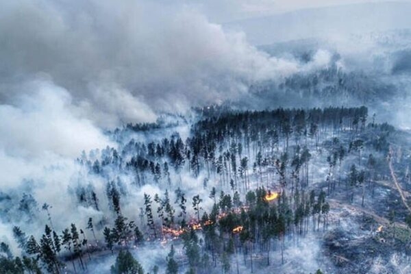 Дым от пожаров в сибирской тайге достиг Канады и США