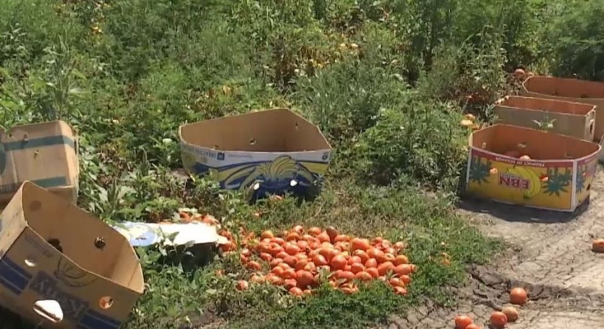 Убийство на Николаевщине из-за гнилого помидора - подробности. ВИДЕО