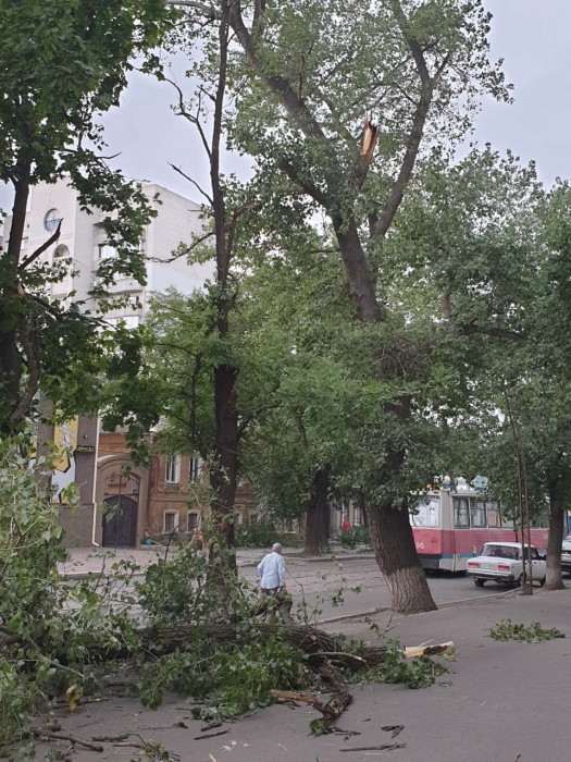 В Николаеве сильный ветер валит деревья и столбы - объявлено штормовое предупреждение. ОБНОВЛЯЕТСЯ