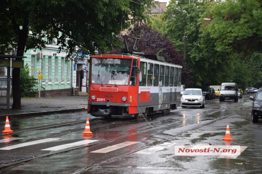 Как в Николаеве непогода ломала деревья и столбы. ФОТОРЕПОРТАЖ