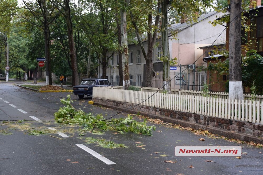 Как в Николаеве непогода ломала деревья и столбы. ФОТОРЕПОРТАЖ