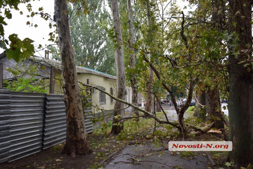 Как в Николаеве непогода ломала деревья и столбы. ФОТОРЕПОРТАЖ