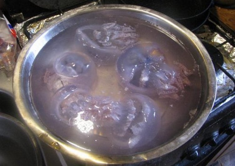 Житель Херсона показал, как готовить медуз. ВИДЕО