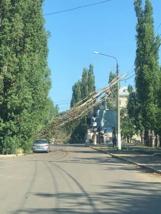 Непогода в Николаеве: авто так и осталось стоять под упавшим деревом, а по городу погнуты дорожные знаки