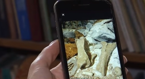 Под Винницей нашли кости гигантского носорога, который полностью покрыт шерстью. ВИДЕО