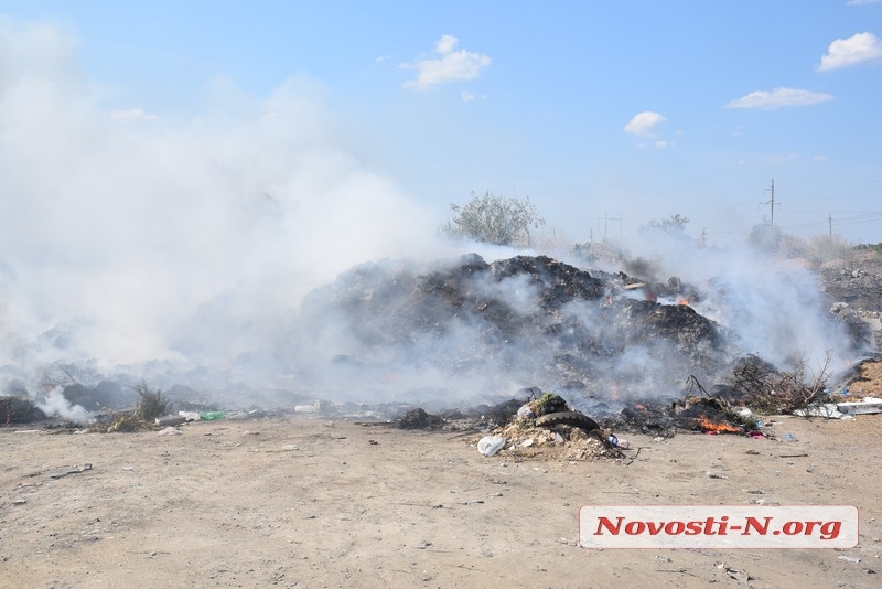 ÐÐ¾Ð´ ÐÐ¸ÐºÐ¾Ð»Ð°ÐµÐ²Ð¾Ð¼ Ð³Ð¾ÑÐ¸Ñ Ð¼ÑÑÐ¾ÑÐ½Ð°Ñ ÑÐ²Ð°Ð»ÐºÐ° â Ð¿Ð¾Ð¶Ð°Ñ Ð½Ð¸ÐºÑÐ¾ Ð½Ðµ ÑÑÑÐ¸Ñ