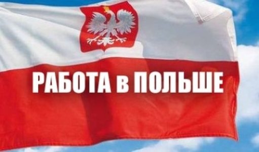 Украинцы заняли 90% рынка трудовых мигрантов в Польше