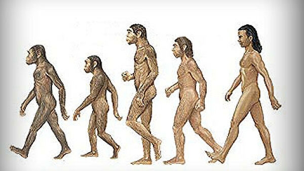 Пересмотрена эволюция человека