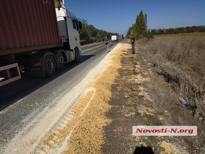 Под Николаевом зерновоз рассыпал более 10 тонн кукурузы 