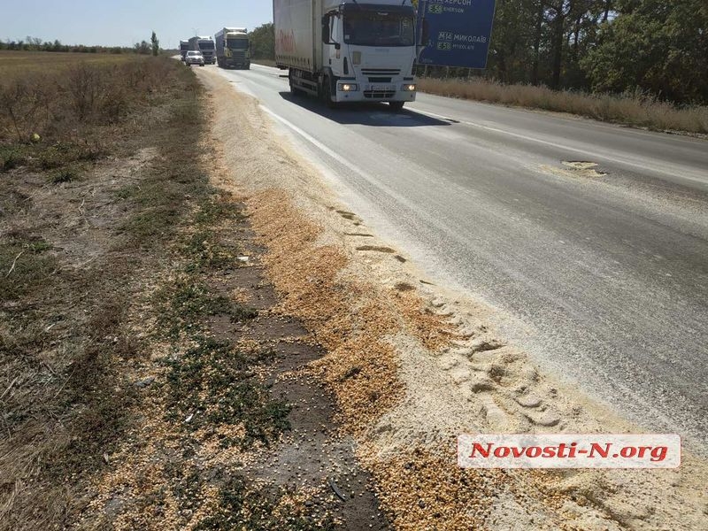 Под Николаевом зерновоз рассыпал более 10 тонн кукурузы 