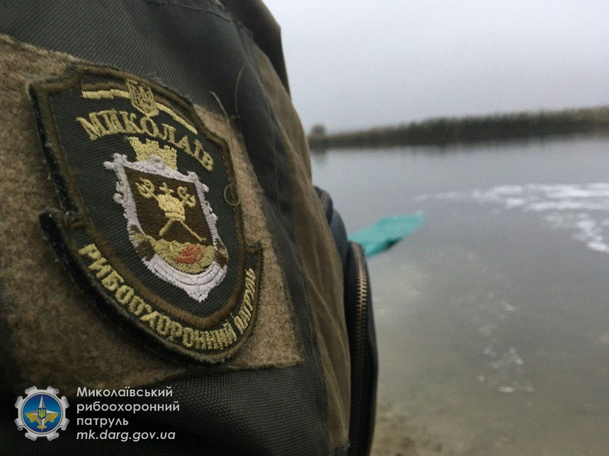 На Николаевщине в Южный Буг выпустили  более 18 тонн рыбы