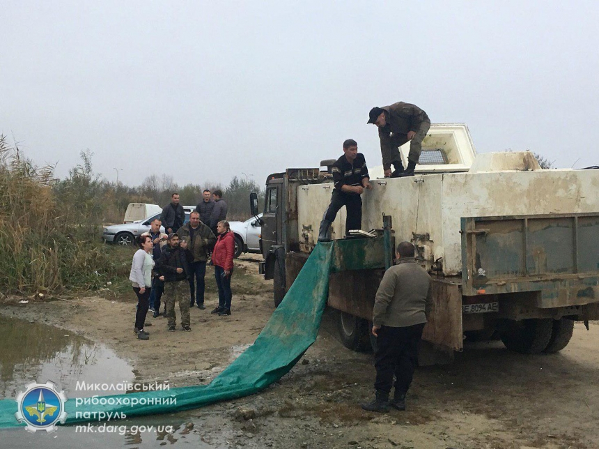 На Николаевщине в Южный Буг выпустили  более 18 тонн рыбы