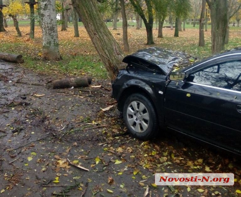 В Николаеве «Ауди» свалил дерево в парке — водитель скрылся на кабриолете