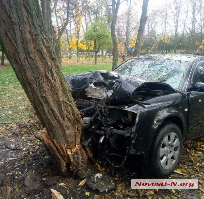 В Николаеве «Ауди» свалил дерево в парке — водитель скрылся на кабриолете