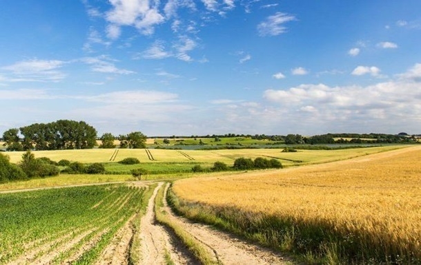 В Кабмине назвали механизмы теневой продажи земли