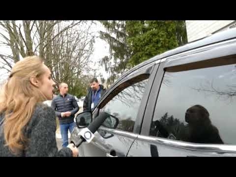 На Киевщине глава сельсовета за рулем авто наехал на журналистов. Видео