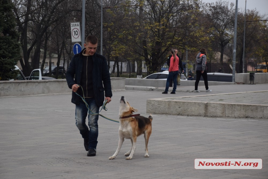 В Николаеве на выставке «Счастье не имеет породы» семь собак обрели «родителей»