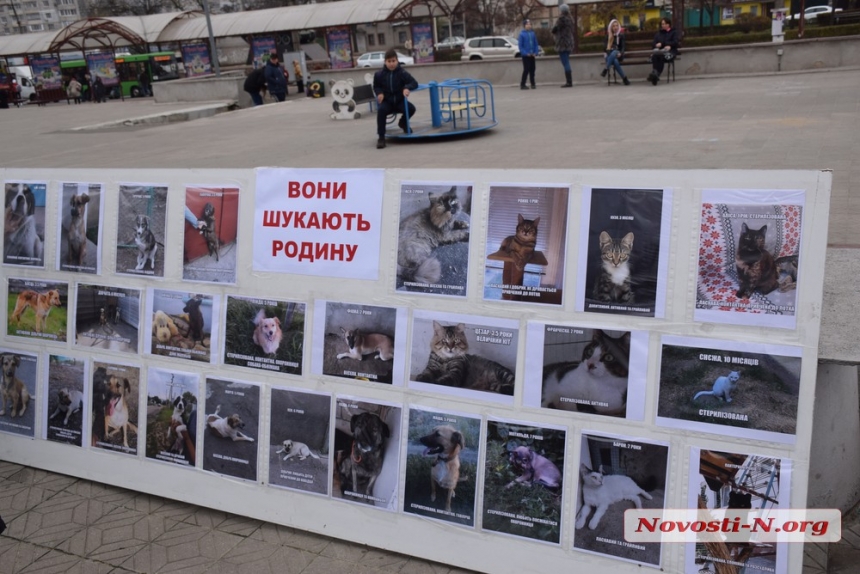 В Николаеве на выставке «Счастье не имеет породы» семь собак обрели «родителей»