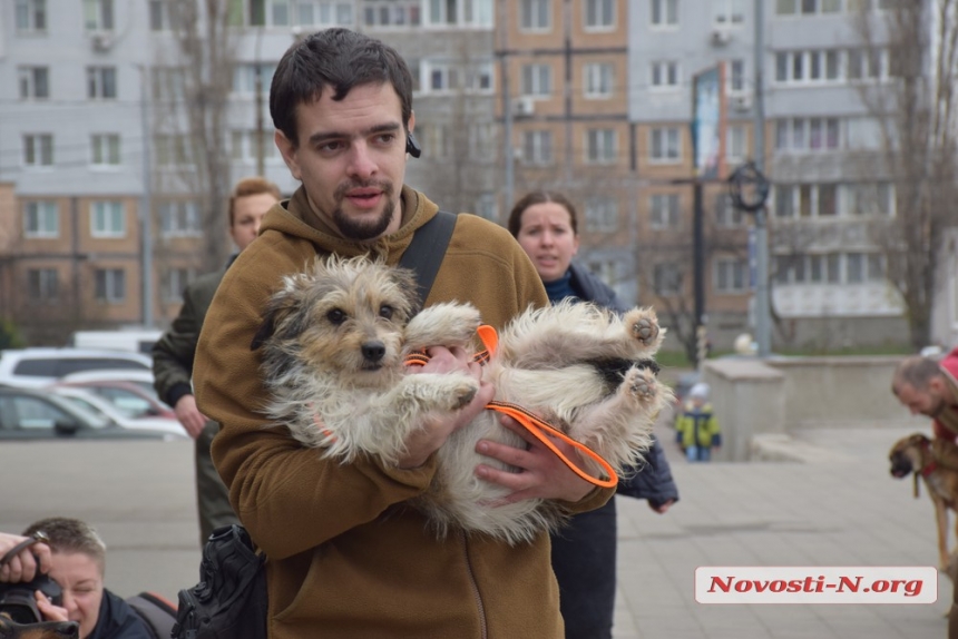 В Николаеве на выставке «Счастье не имеет породы» семь собак обрели «родителей»