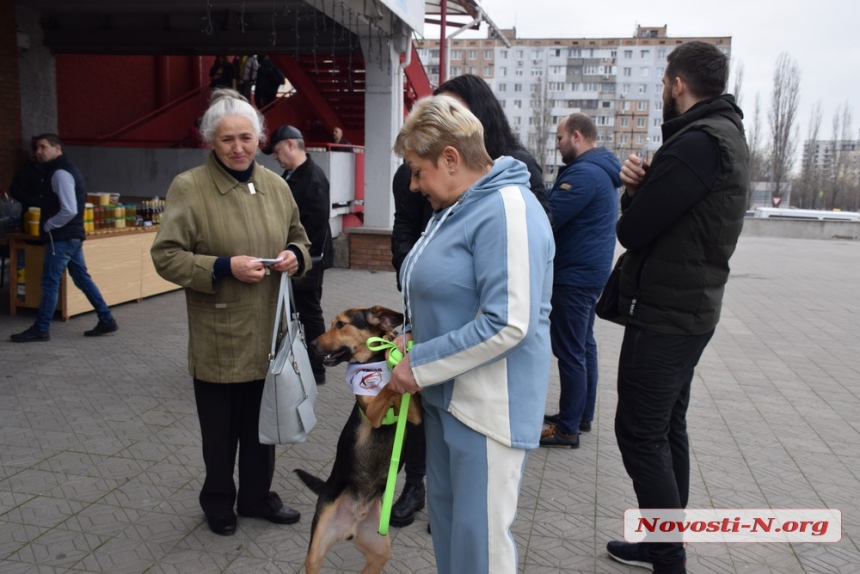 В Николаеве на выставке «Счастье не имеет породы» семь собак обрели «родителей»