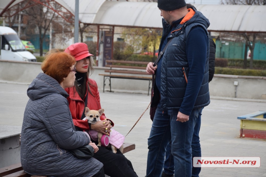 В Николаеве на выставке «Счастье не имеет породы» семь собак обрели «родителей»