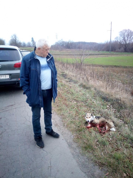Под Хмельницким чиновник привязал собаку к машине и протащил ее по дороге 1,5 км. ВИДЕО