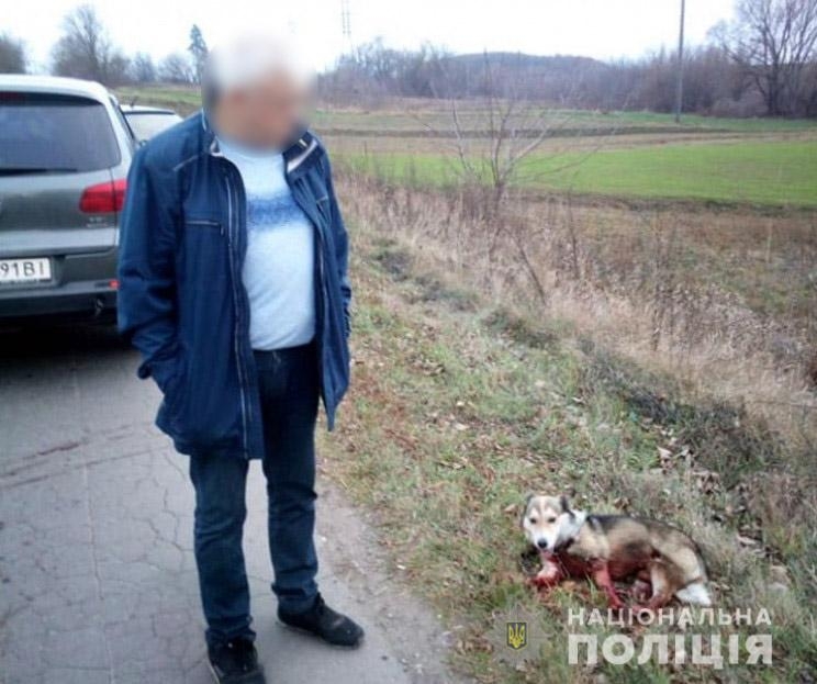 Полиция открыла дело на хмельницкого топ-чиновника, который привязал собаку к машине и протащил ее по дороге 1,5 км