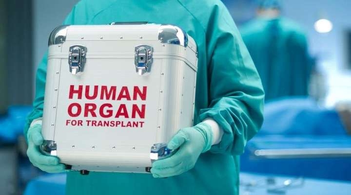 Запуск системы трансплантации органов отложили на 2021 год