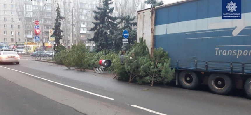 В Николаеве оштрафовали продавца елок, торгующего на дороге