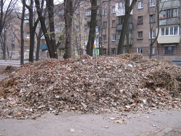 В середине декабря Сенкевич призвал чиновников усилить работы по вывозу листвы с улиц Николаева